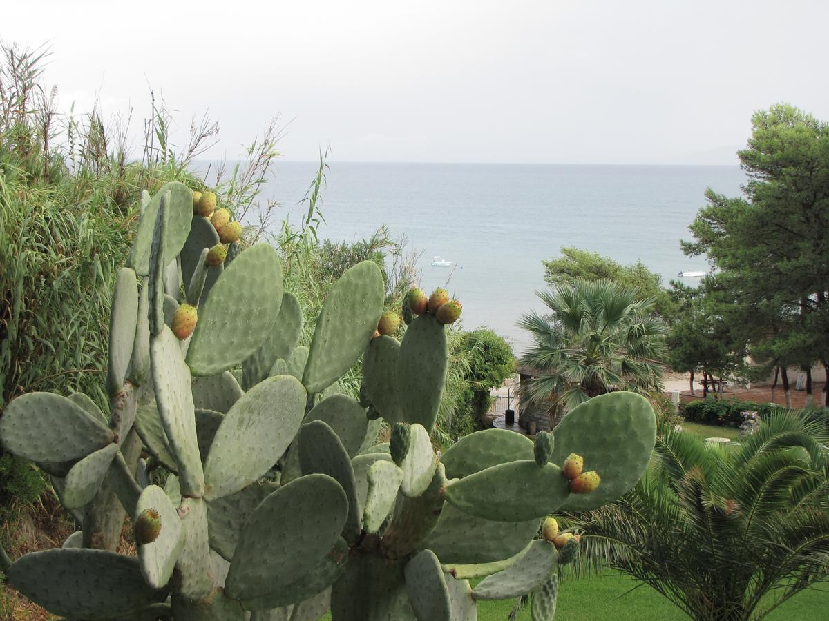 Panas Hotel Spartia  Dış mekan fotoğraf